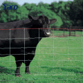 2.5mm 4ft 5ft 6ft 8ft height Pasture fence goat farming grassland cheap field fence